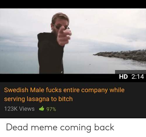 Swedish male fucks entire while lasagna