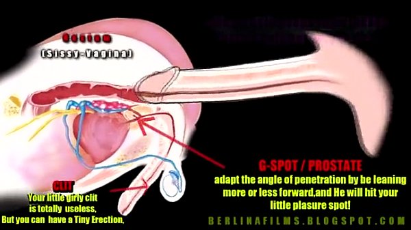 Anal Fuck Anatomy Quality Adult Free Images