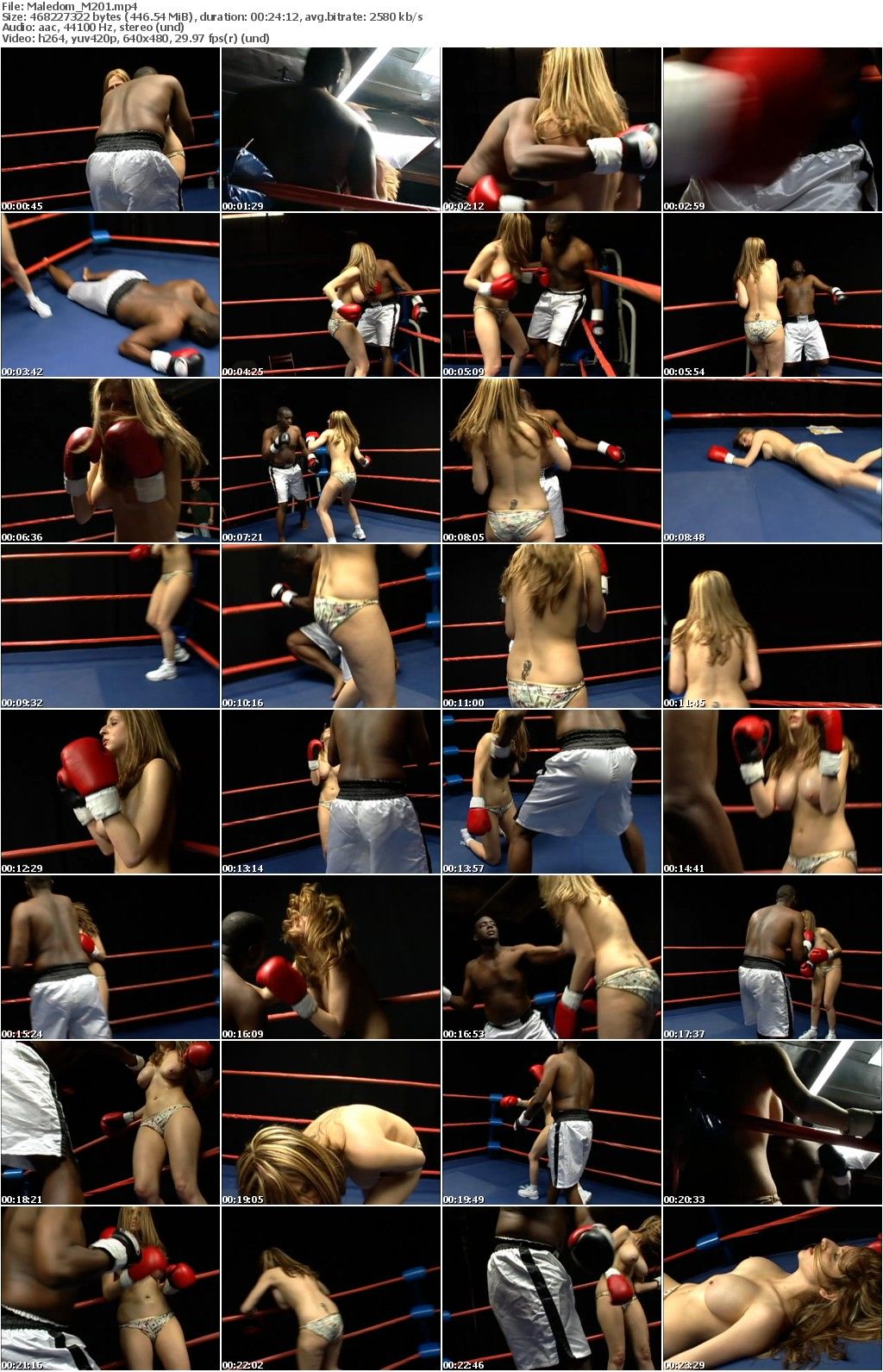 best of Maledom boxing